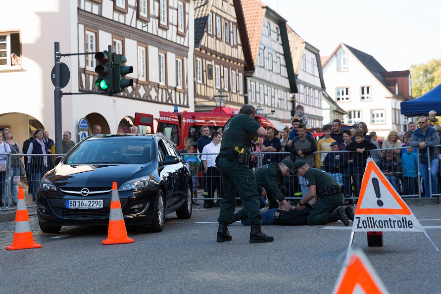 20181013-102432-IMG_7782