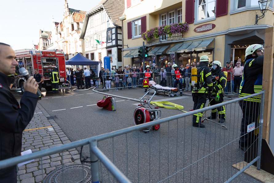 20181013-105113-IMG_7803