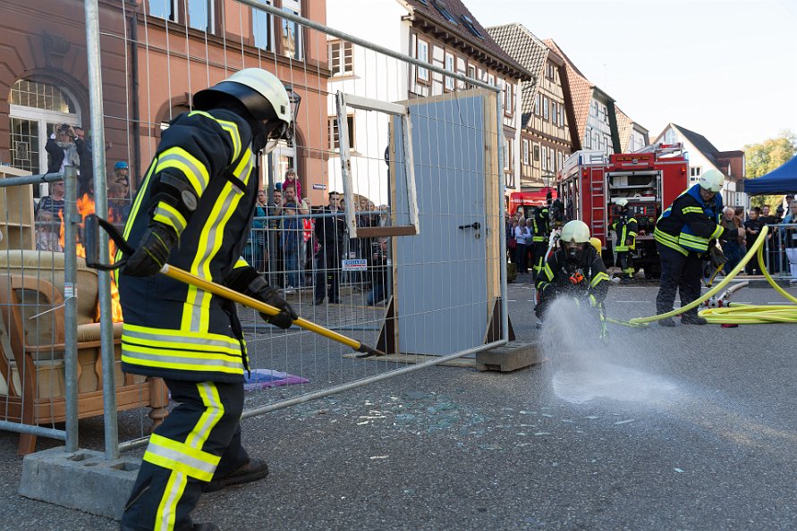 20181013-105221-IMG_7811