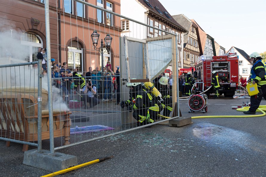 20181013-105233-IMG_7813